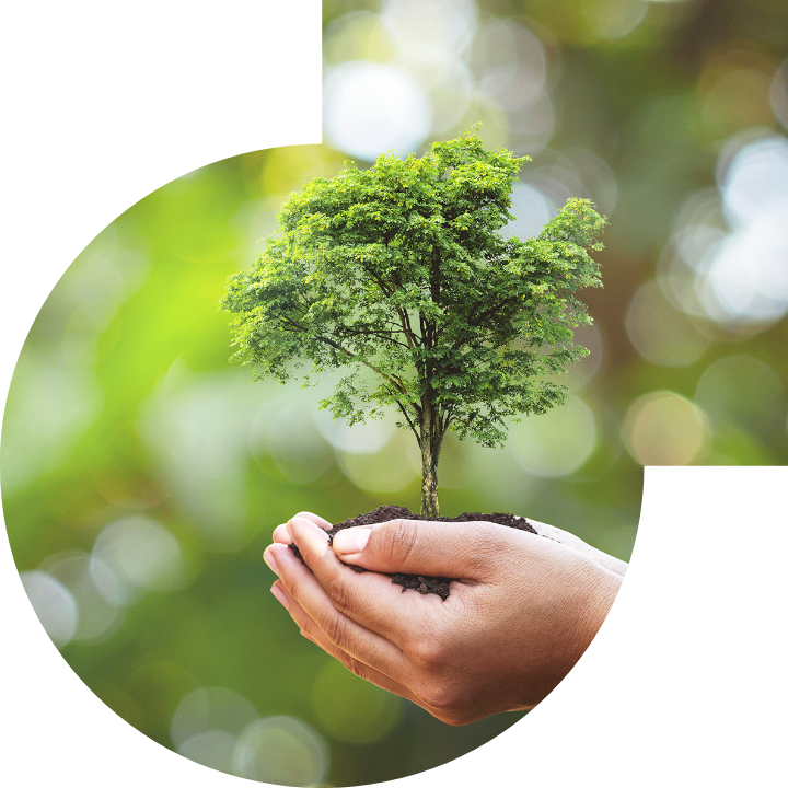 關懷人類、文化、環境與社會